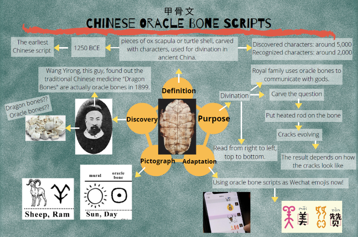 Chinese Oracle Bone Scripts
